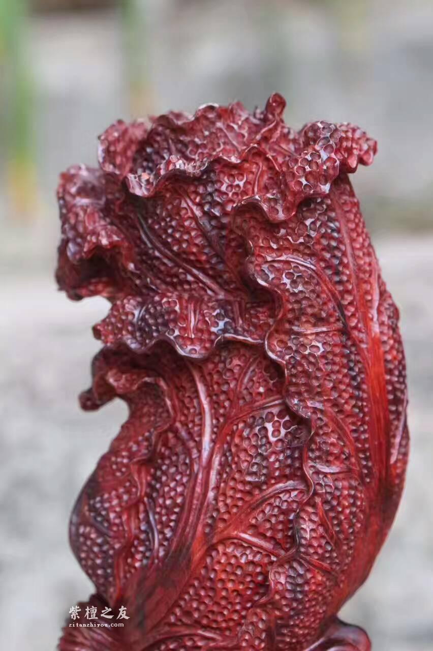 小叶紫檀工艺品《金蟾白菜》雕工精致财源滚滚-7