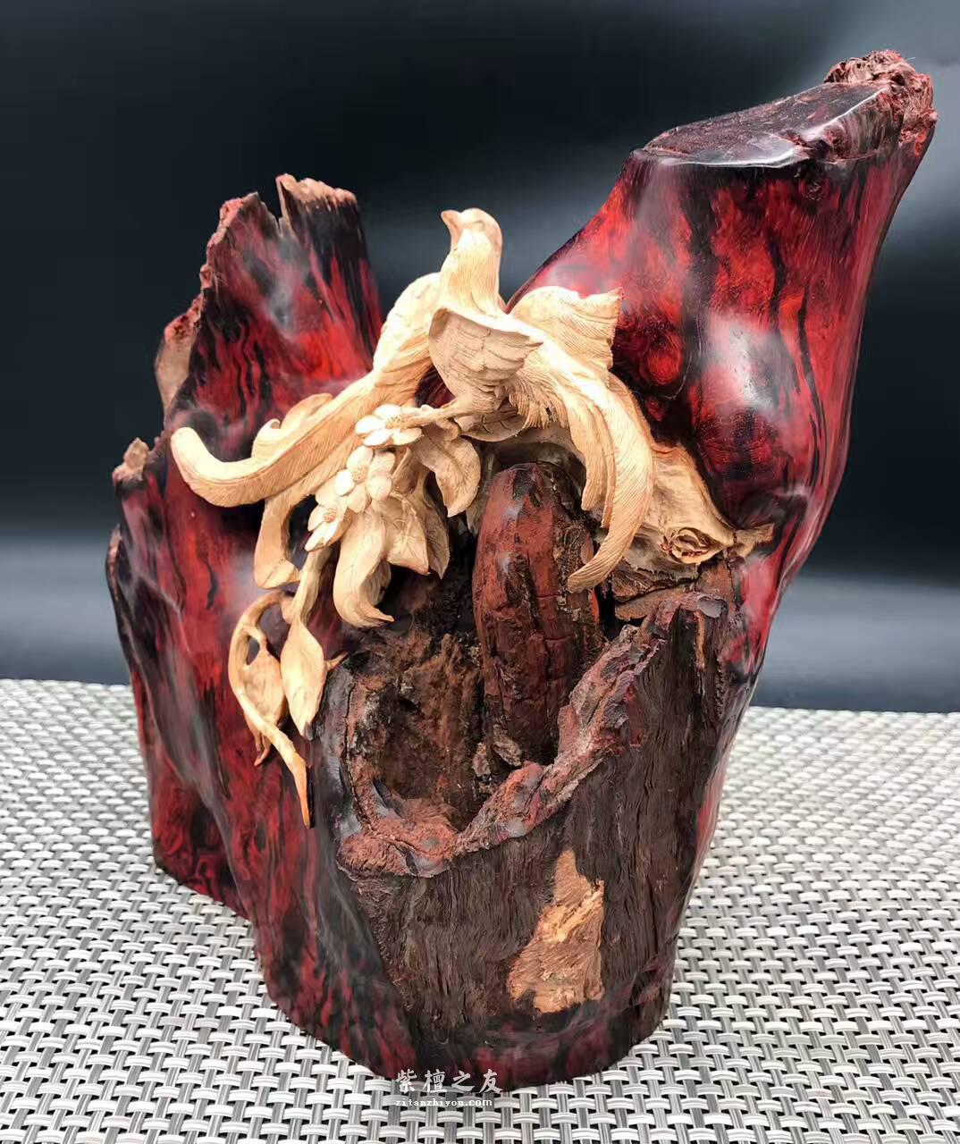 印度小叶紫檀金星瘤料摆件 巧雕枯木白皮喜上眉梢-1