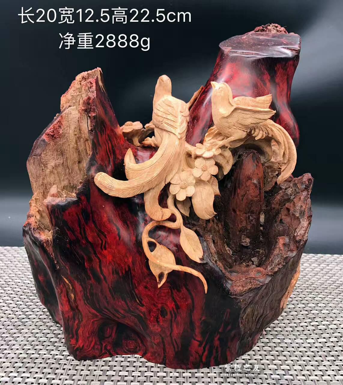 印度小叶紫檀金星瘤料摆件 巧雕枯木白皮喜上眉梢-2
