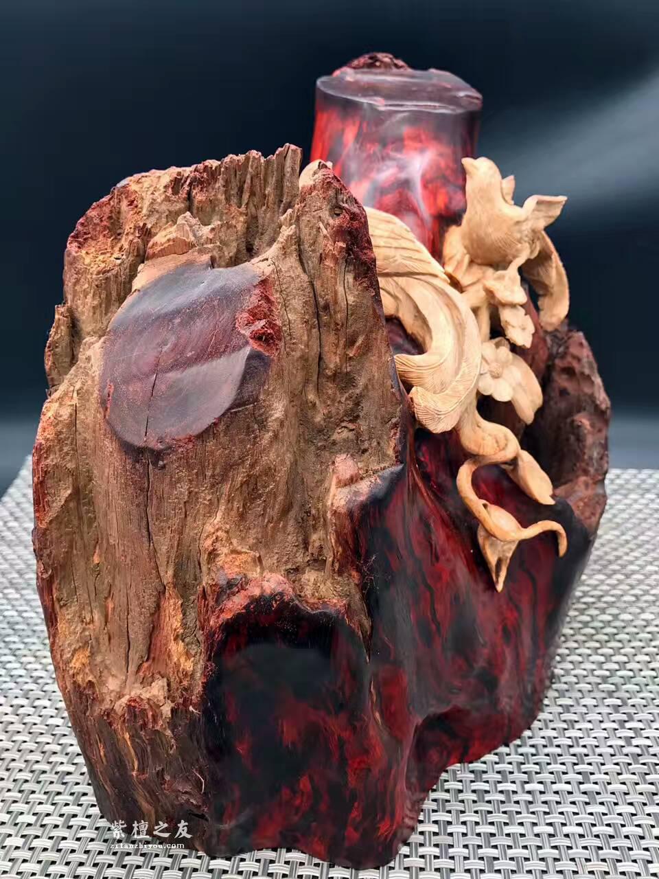 印度小叶紫檀金星瘤料摆件 巧雕枯木白皮喜上眉梢-5