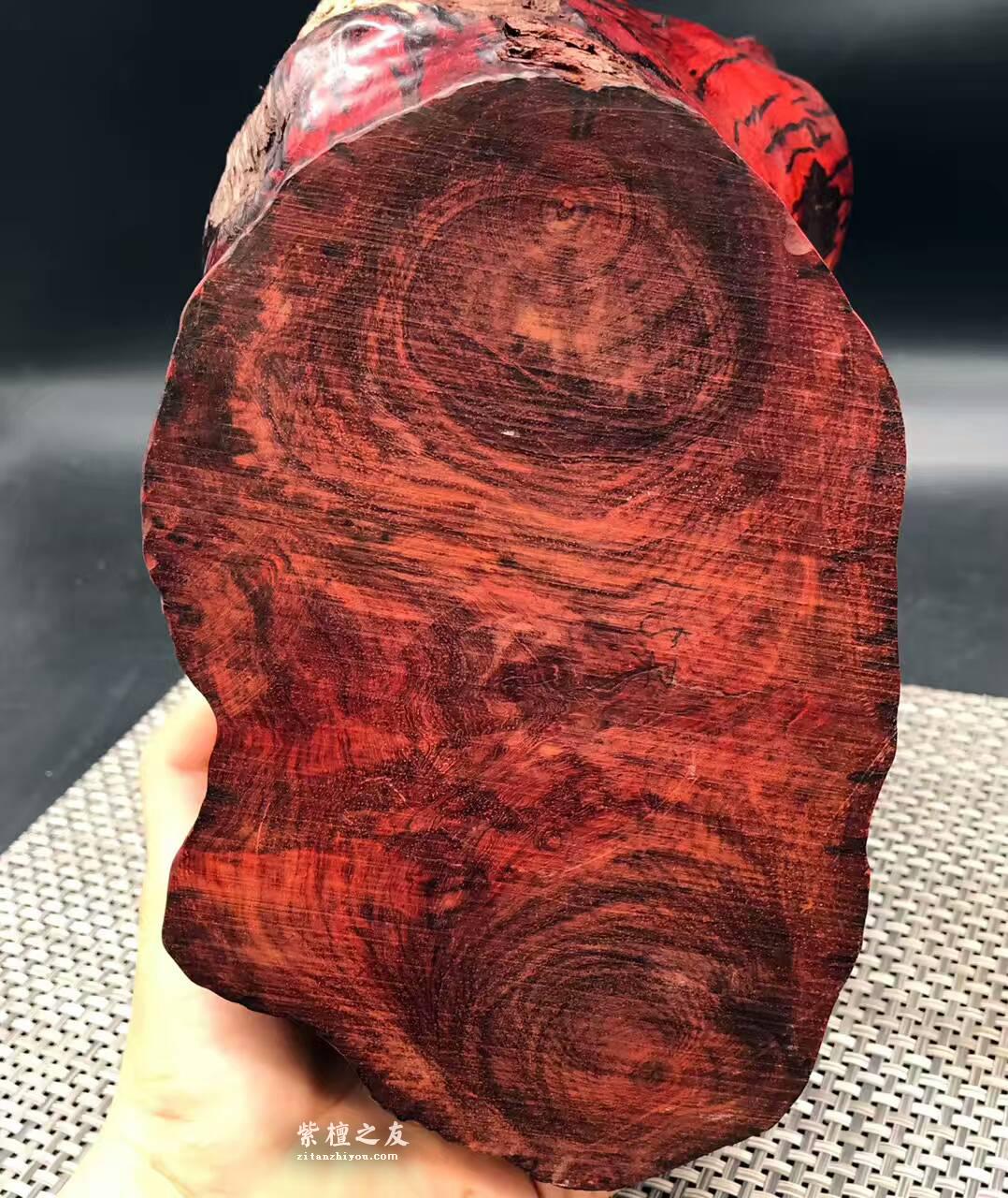 印度小叶紫檀金星瘤料摆件 巧雕枯木白皮喜上眉梢-4