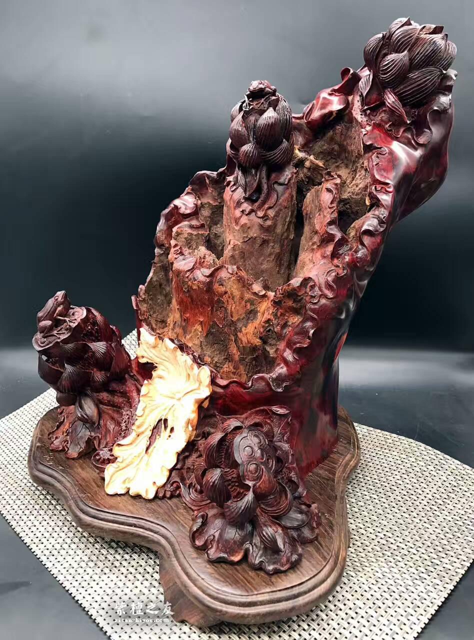 印度小叶紫檀工艺品《枯木逢春》风化百年枯木老料打造高密度金星带瘤树头-2
