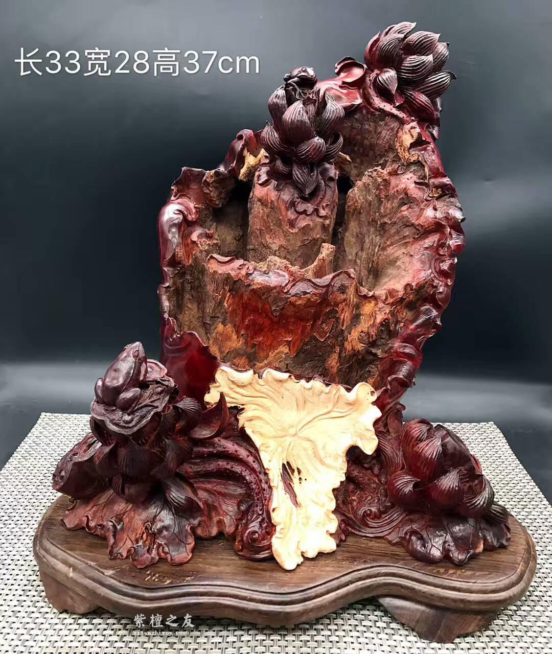 印度小叶紫檀工艺品《枯木逢春》风化百年枯木老料打造高密度金星带瘤树头-1