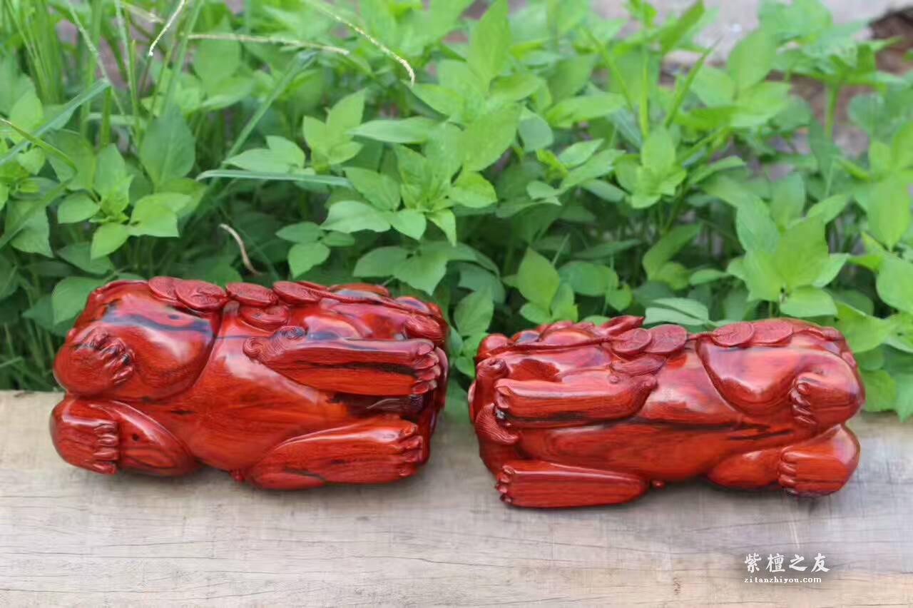小叶紫檀工艺品母子情深 精选高油密鸡血料材质细腻油性一流-9