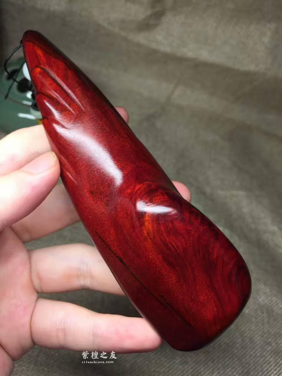 小叶紫檀中的王者《羽翼》手把件 完美无瑕鱼鳞底-2