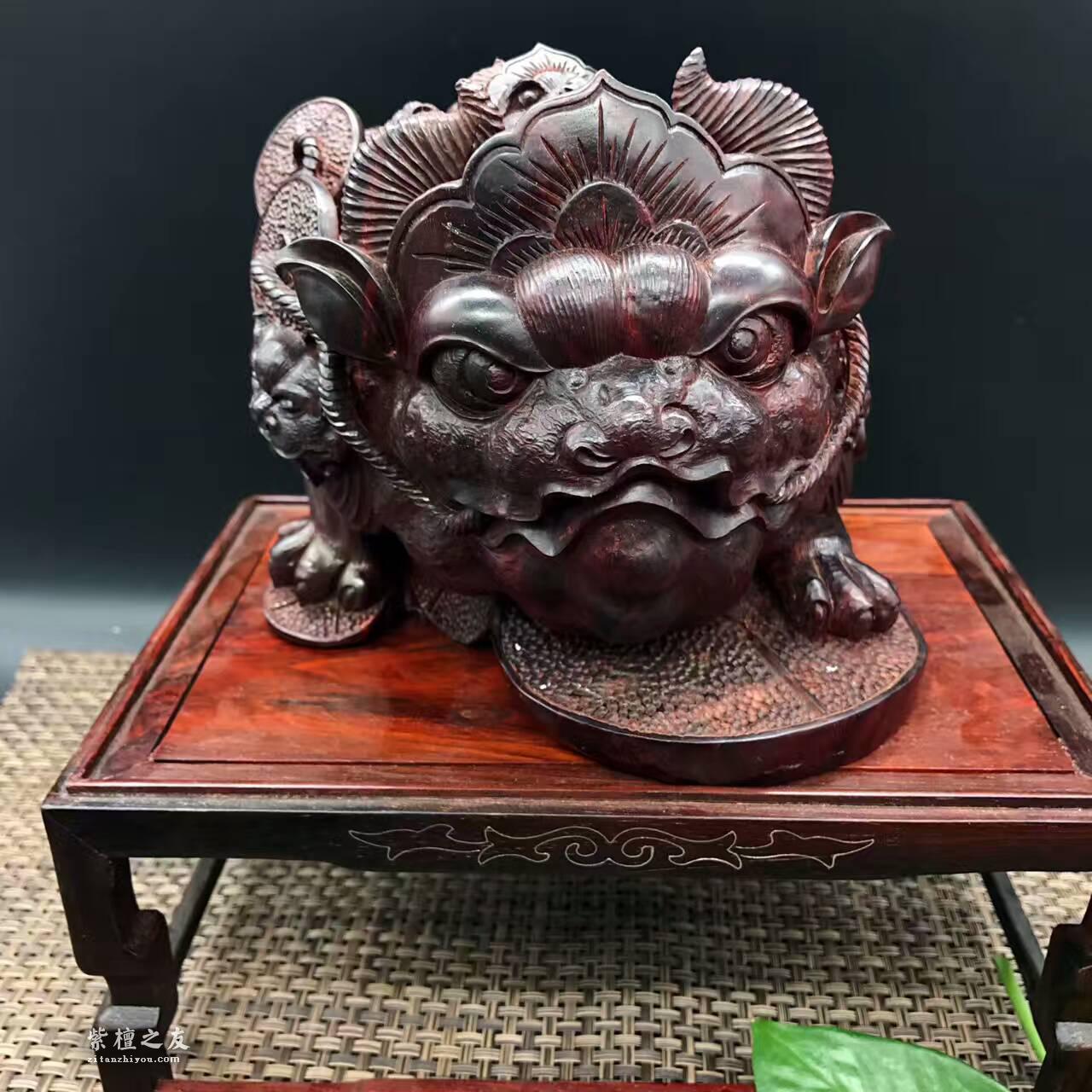 印度小叶紫檀金蟾 纯手工雕刻-2