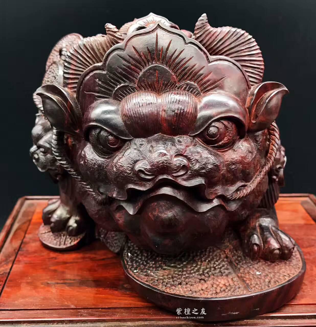 印度小叶紫檀金蟾 纯手工雕刻-3