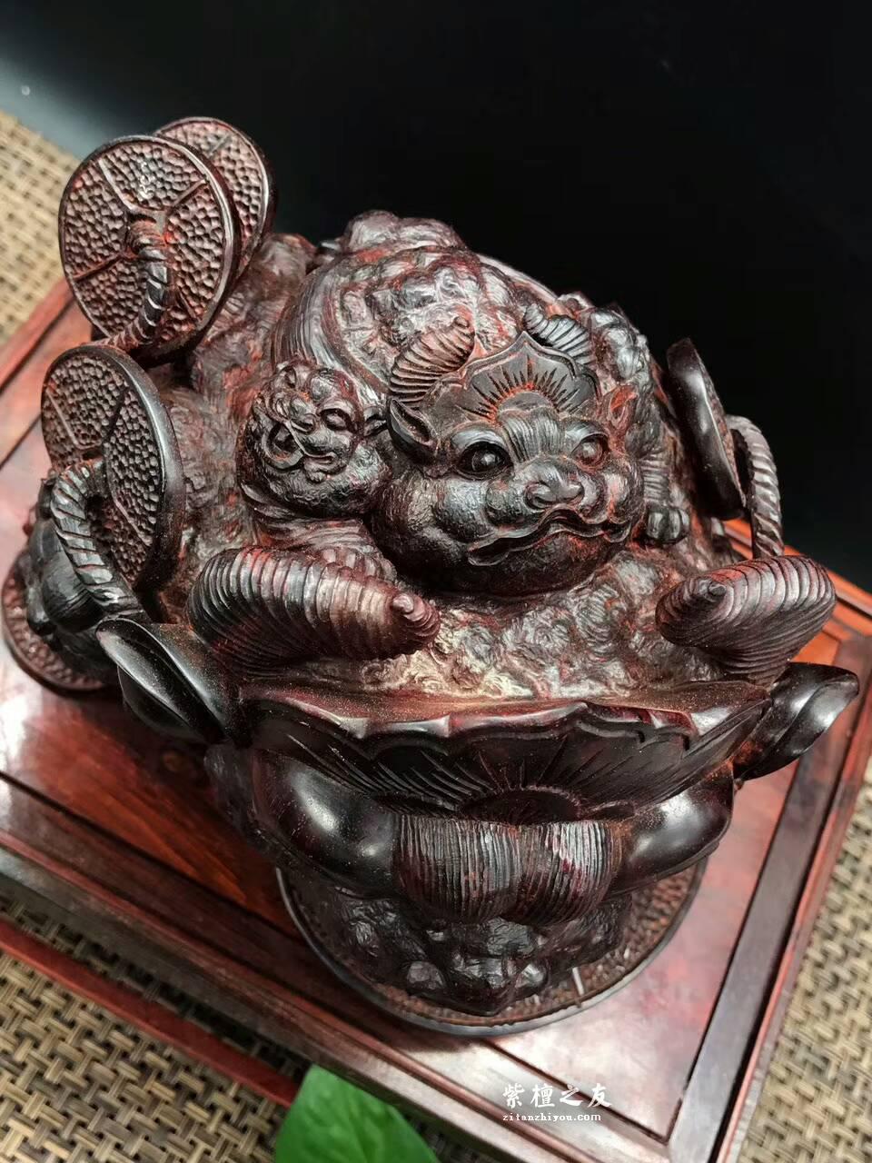 印度小叶紫檀金蟾 纯手工雕刻-7