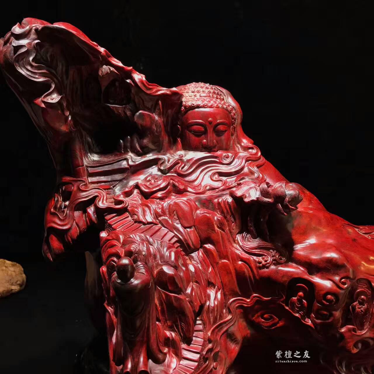 印度小叶紫檀高密度枯木树头老料满金星细疤-1