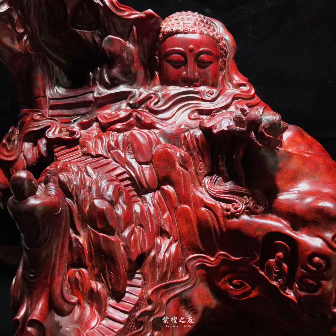 印度小叶紫檀高密度枯木树头老料满金星细疤-5