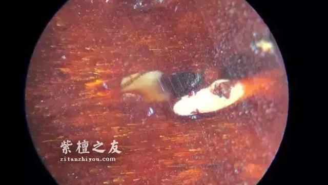 小叶紫檀鉴别图解——探究真假金星!-2
