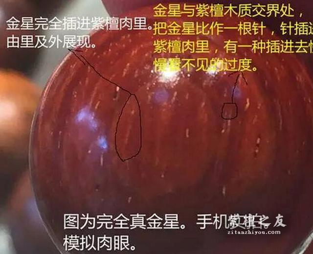 小叶紫檀鉴别图解——探究真假金星!-3