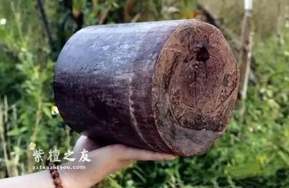 从古代建筑遗迹中拆下来的小紫叶檀剖开后竟然这么漂亮-2