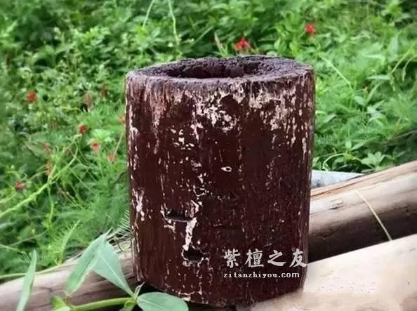 从古代建筑遗迹中拆下来的小紫叶檀剖开后竟然这么漂亮-8