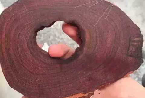 前年紫檀——小叶紫檀为什么那么贵