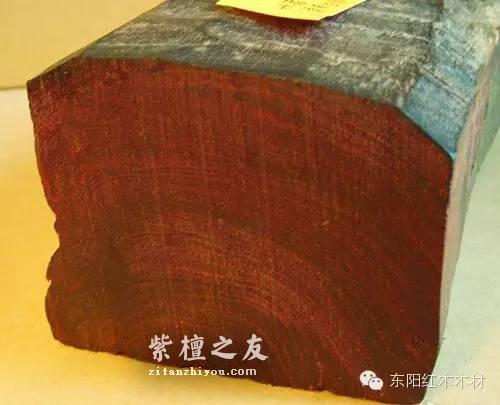 前年紫檀——小叶紫檀为什么那么贵-2