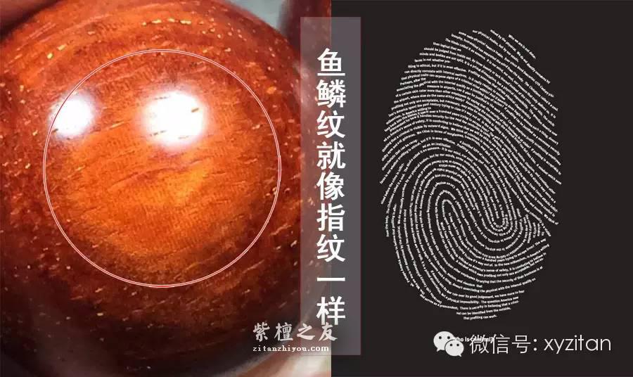 紫檀佛珠里的龙鳞纹鱼鳞纹是什么？-1