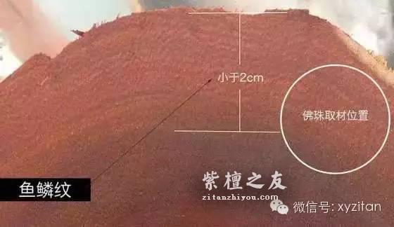 紫檀佛珠里的龙鳞纹鱼鳞纹是什么？-3