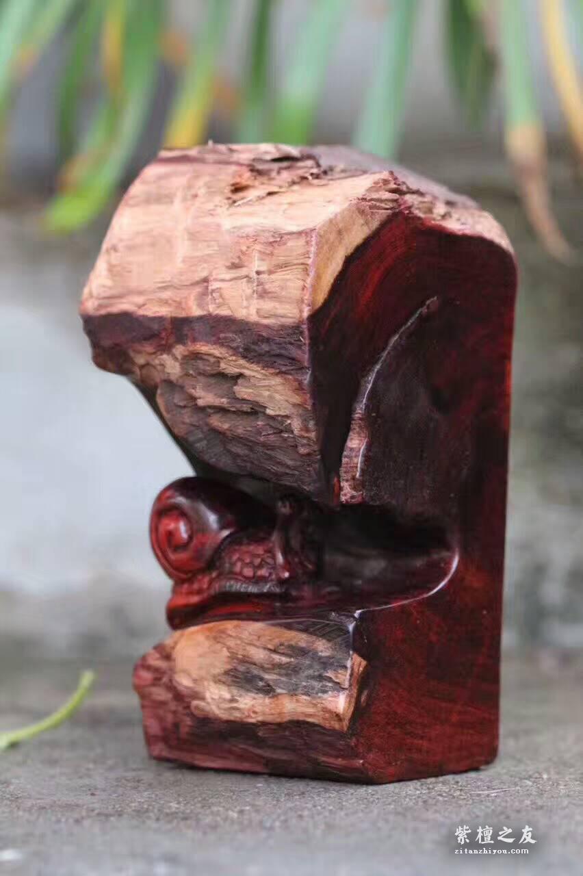 小叶紫檀工艺品《蜗牛避雨》手工雕刻栩栩如生-5