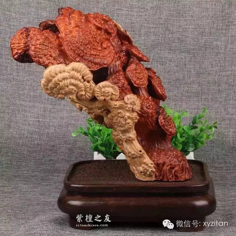 小叶紫檀上的白皮处理好了会带来什么样的惊喜-4