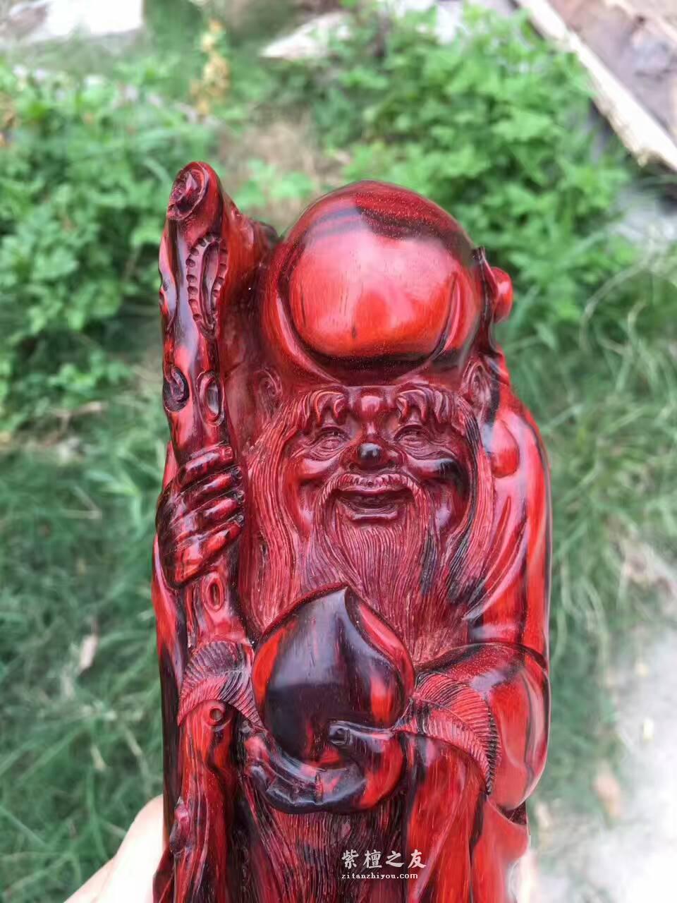 小叶紫檀《寿星》 工艺精美寓意健康长寿送长辈首选-1