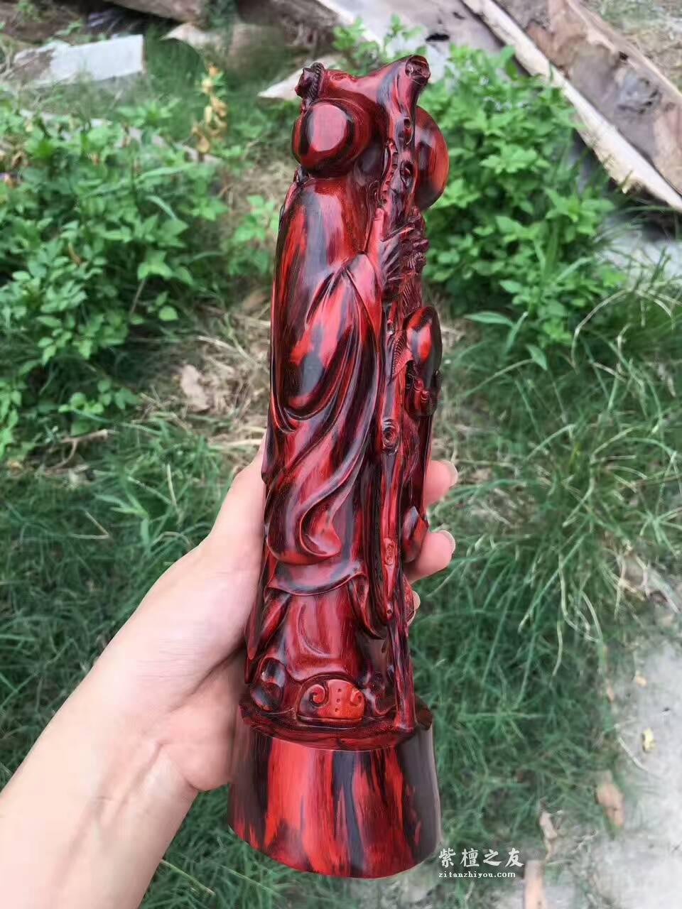小叶紫檀《寿星》 工艺精美寓意健康长寿送长辈首选-4