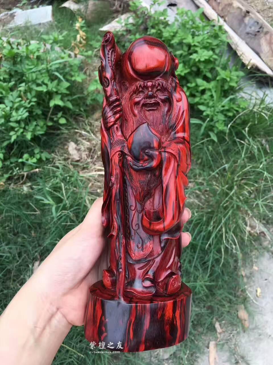 小叶紫檀《寿星》 工艺精美寓意健康长寿送长辈首选-2