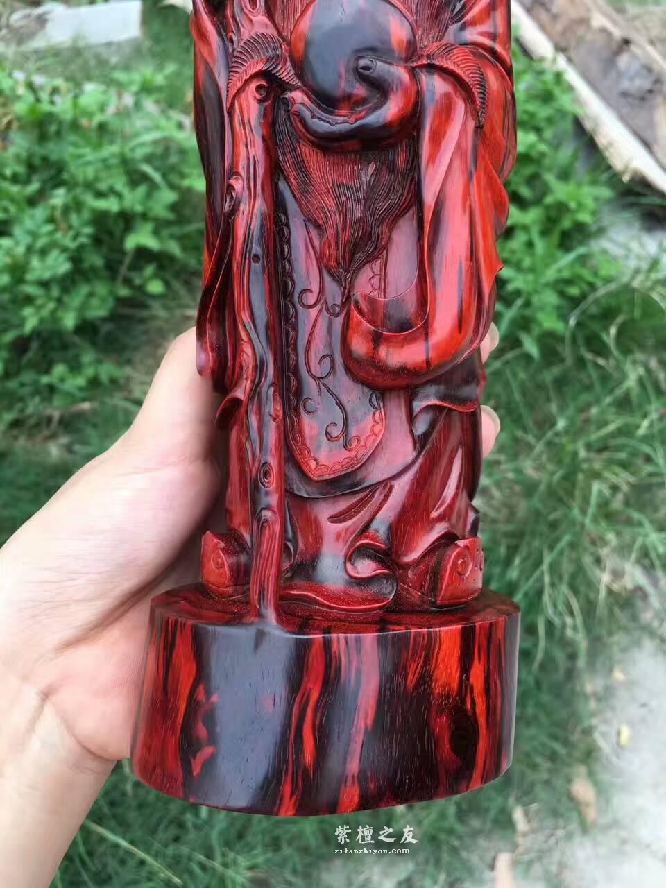 小叶紫檀《寿星》 工艺精美寓意健康长寿送长辈首选-3
