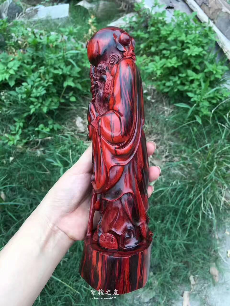 小叶紫檀《寿星》 工艺精美寓意健康长寿送长辈首选-7