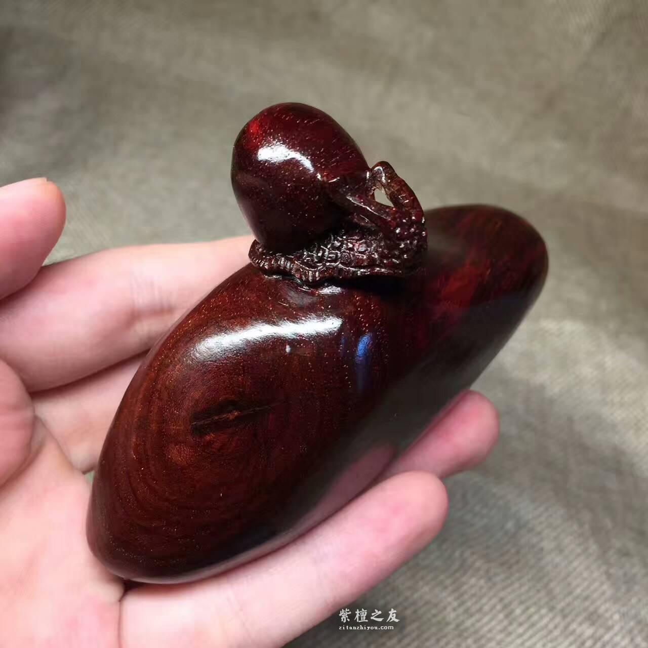 小叶紫檀手把件《蜗牛》小巧可爱颜色漂亮易把玩-3