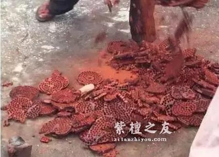 印度人这样玩小叶紫檀边角料，对于玩友来说简直是折磨！-2