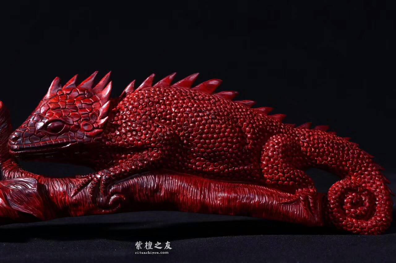 小叶紫檀工艺品蜥蜴《吸亿》质地细腻油性爆表-2