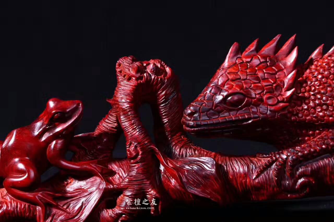 小叶紫檀工艺品蜥蜴《吸亿》质地细腻油性爆表-4