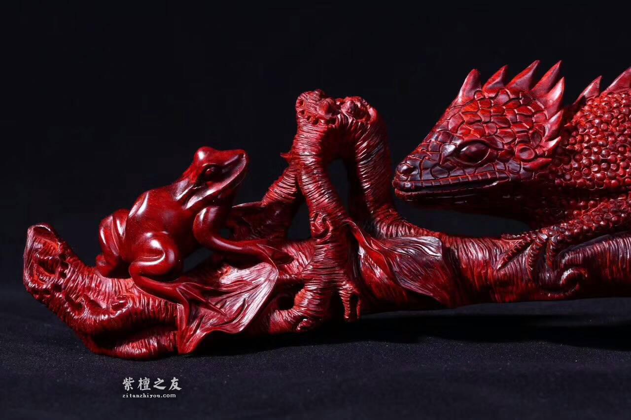 小叶紫檀工艺品蜥蜴《吸亿》质地细腻油性爆表-3