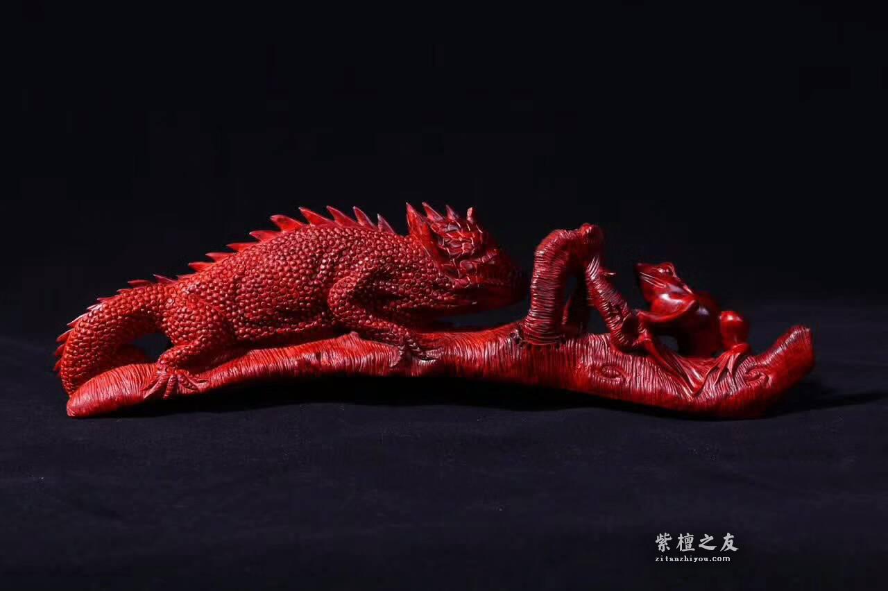 小叶紫檀工艺品蜥蜴《吸亿》质地细腻油性爆表-7