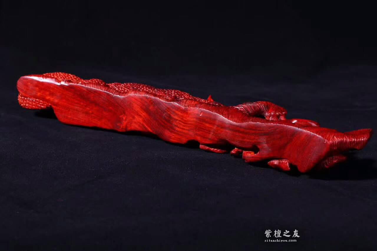 小叶紫檀工艺品蜥蜴《吸亿》质地细腻油性爆表-8