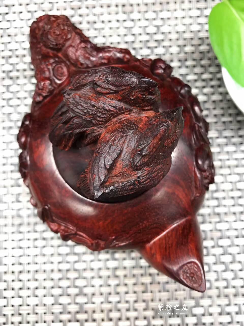 印度小叶紫檀壶把件 精雕荷花鹦鹉和美长久-6