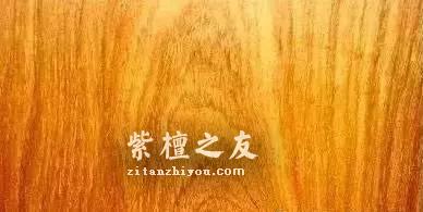听说这十三种木材是未来的大热 它们会取代紫檀的地位吗-1
