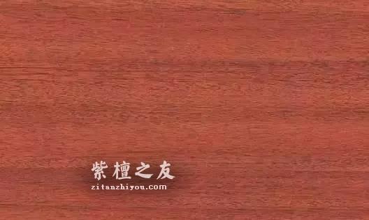 听说这十三种木材是未来的大热 它们会取代紫檀的地位吗-2