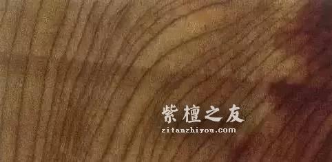 听说这十三种木材是未来的大热 它们会取代紫檀的地位吗-4