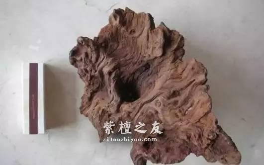 听说这十三种木材是未来的大热 它们会取代紫檀的地位吗-6