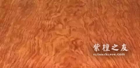 听说这十三种木材是未来的大热 它们会取代紫檀的地位吗-8