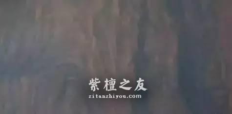 听说这十三种木材是未来的大热 它们会取代紫檀的地位吗-11