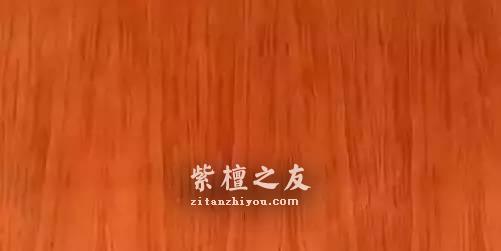 听说这十三种木材是未来的大热 它们会取代紫檀的地位吗-12