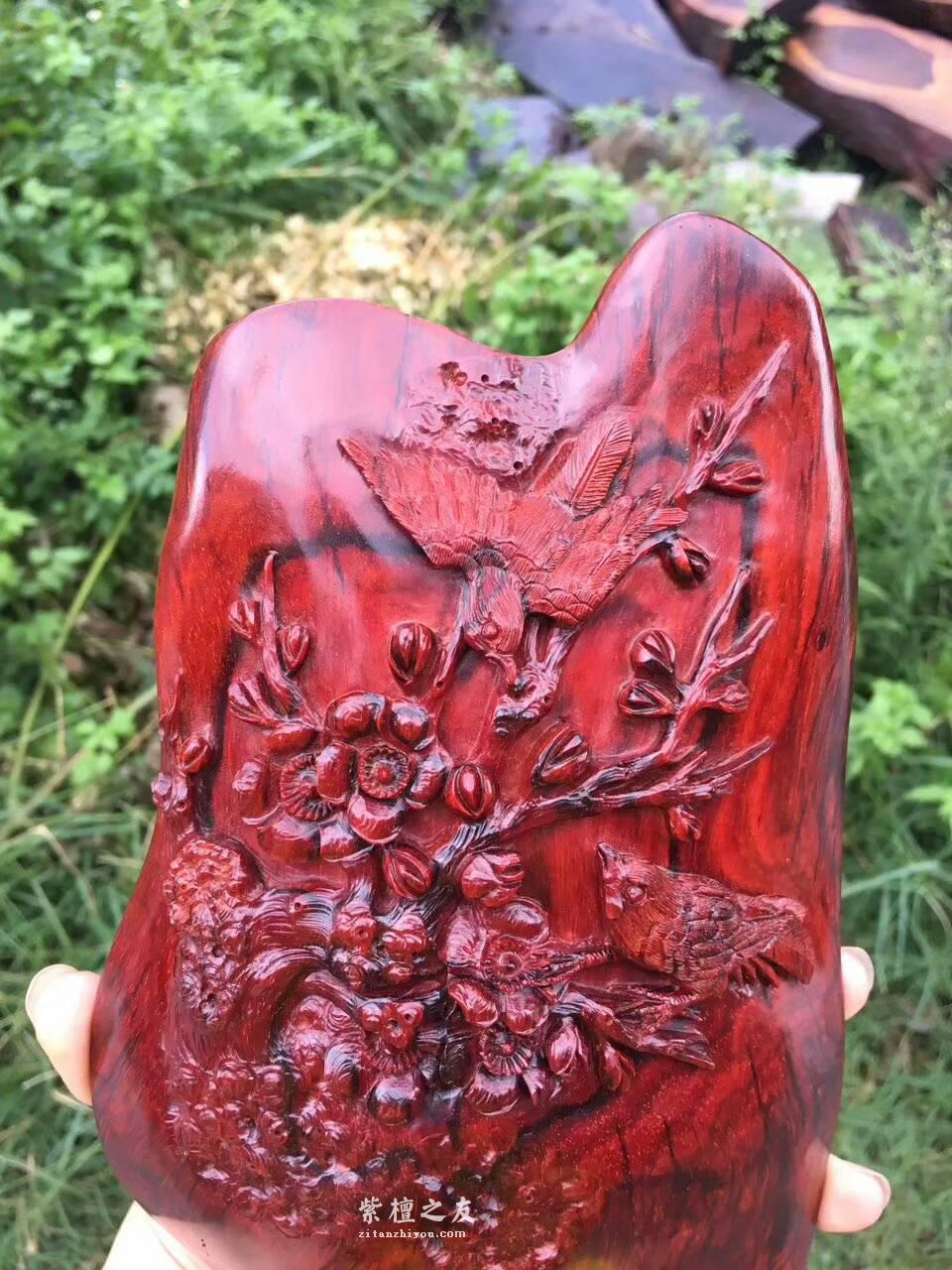 印度小叶紫檀工艺品《喜上眉梢》 鸡血红泥料精美雕工适合桌上装饰-2