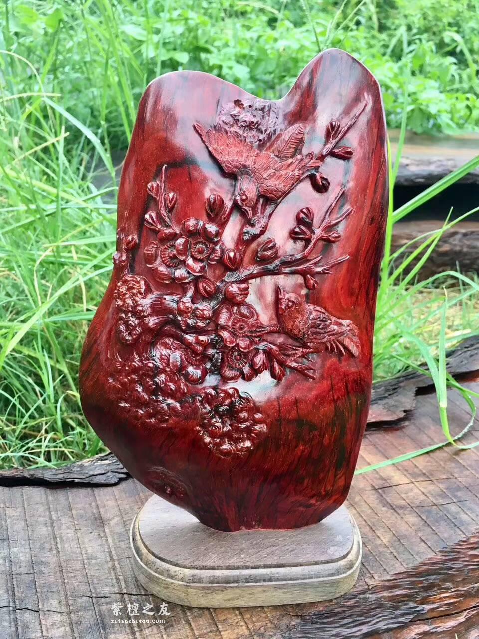 印度小叶紫檀工艺品《喜上眉梢》 鸡血红泥料精美雕工适合桌上装饰-1