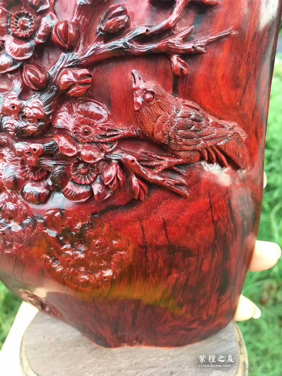 印度小叶紫檀工艺品《喜上眉梢》 鸡血红泥料精美雕工适合桌上装饰-3