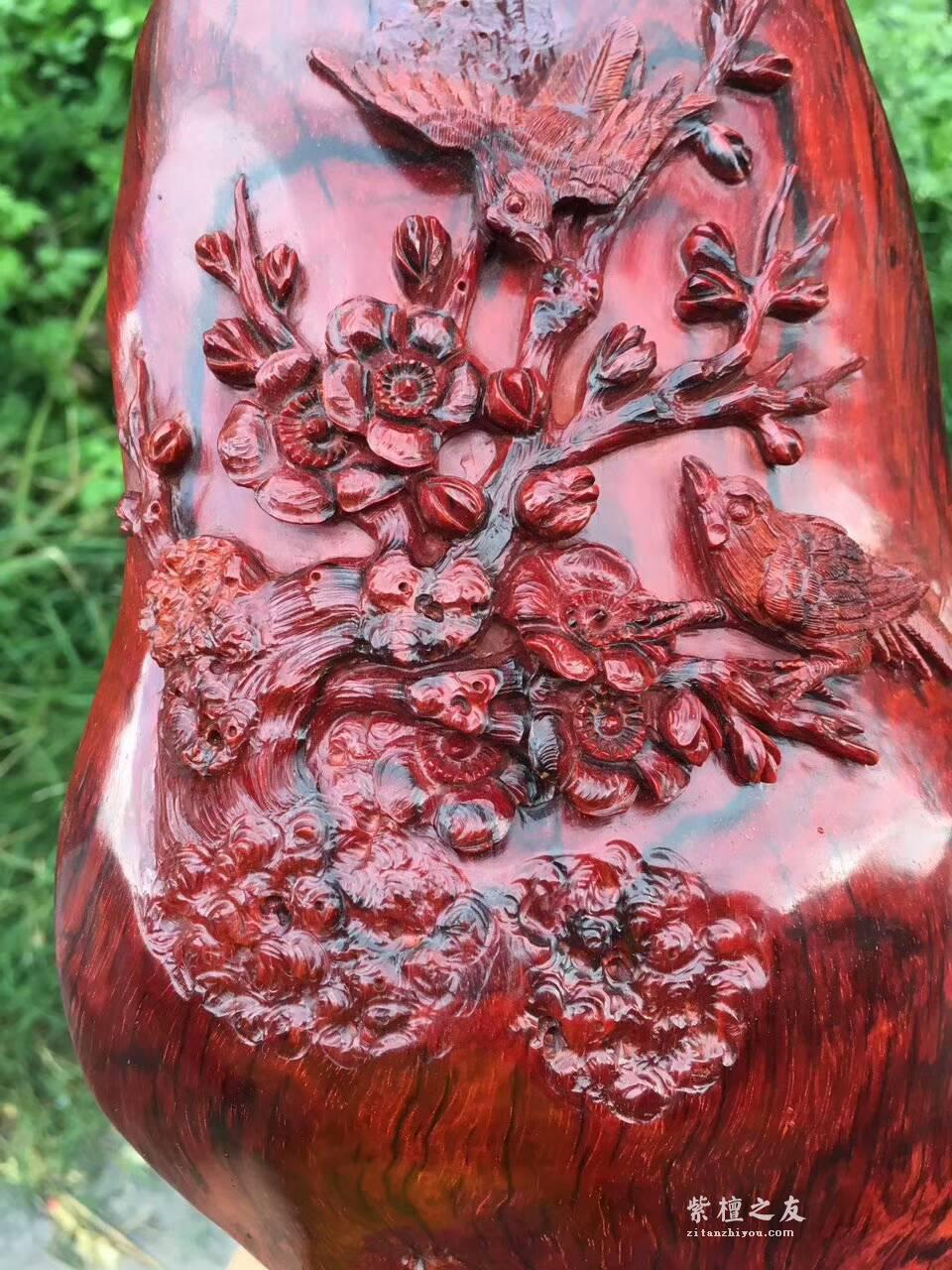 印度小叶紫檀工艺品《喜上眉梢》 鸡血红泥料精美雕工适合桌上装饰-5