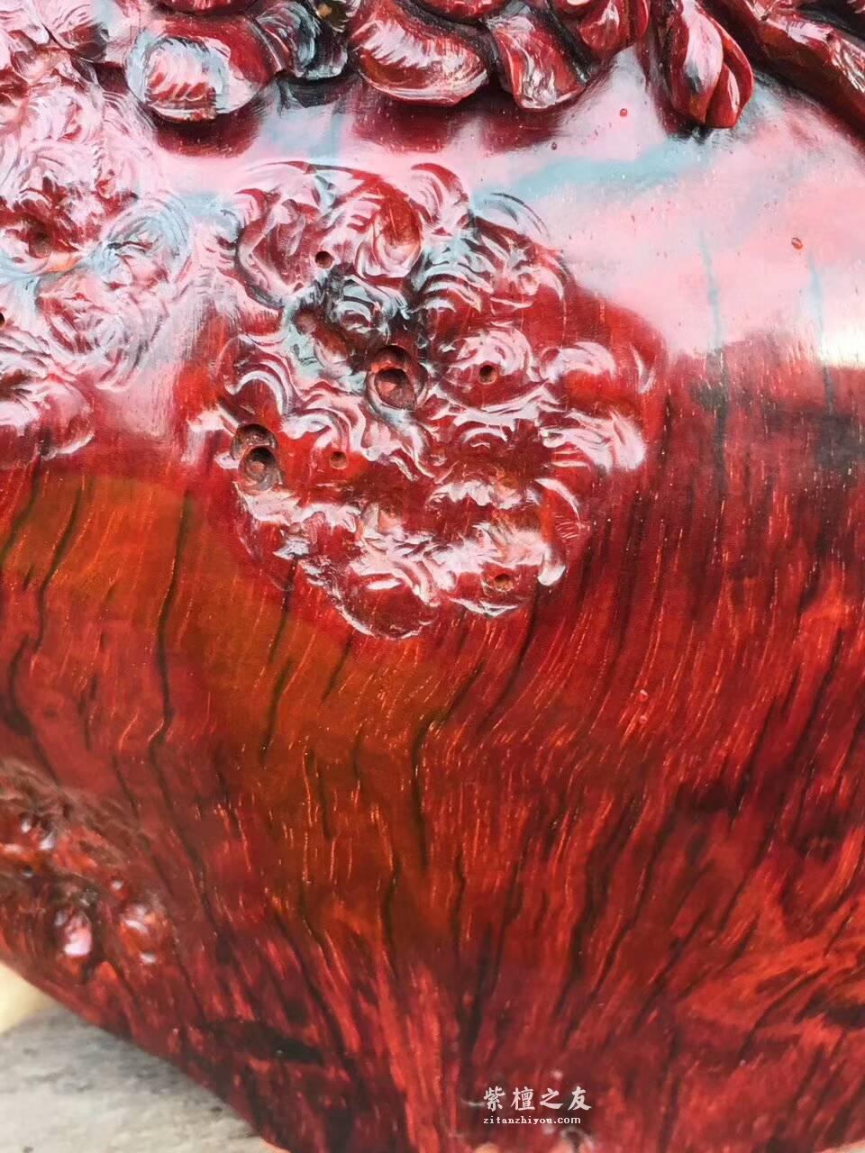 印度小叶紫檀工艺品《喜上眉梢》 鸡血红泥料精美雕工适合桌上装饰-4