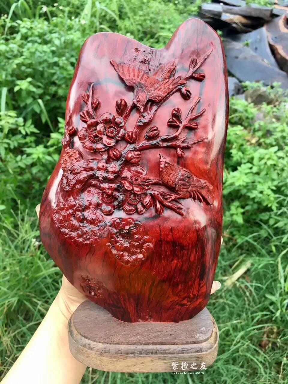 印度小叶紫檀工艺品《喜上眉梢》 鸡血红泥料精美雕工适合桌上装饰-6